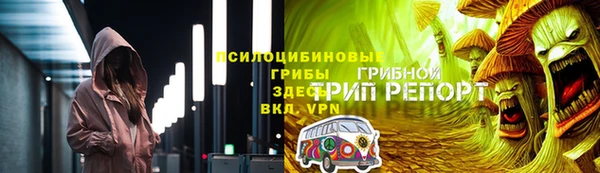 PSILOCYBIN Нягань