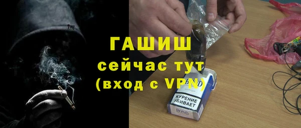 индика Лабытнанги