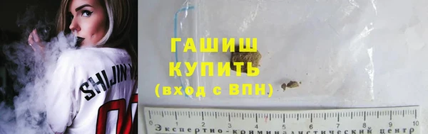 индика Лабытнанги