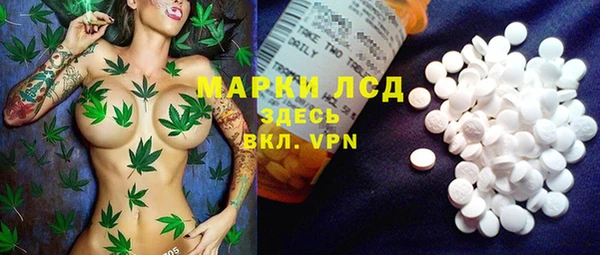 индика Лабытнанги