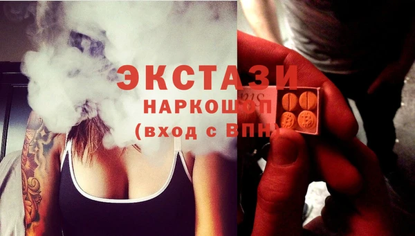 индика Лабытнанги