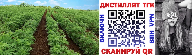 Дистиллят ТГК жижа omg вход Льгов даркнет сайт