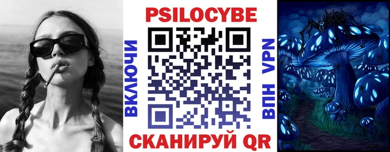 МЕГА ТОР  Льгов  Галлюциногенные грибы Psilocybine cubensis 